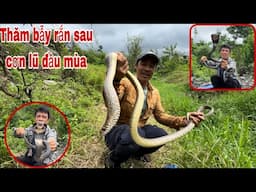 Săn Bắt Ẩm Thực Vùng Cao Thăm Bẫy Rắn 🐍