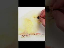 Drawing an Easter Chick - Part 2... Art Tips #coloredpencil #drawing #prismacolor #colorpencil
