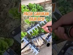 Pacul Garukan Baja Besi
