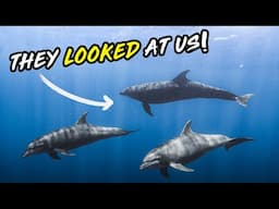 Day in the Life of a Content Creator in BAJA