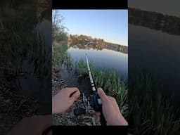 Fishing Spots that Make Me Feel Unsafe #shorts