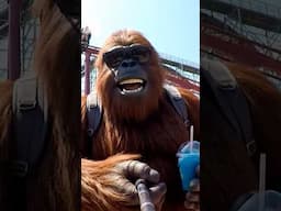 Bigfoot Goes on Vacation - #bigfootvlog