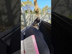 outside reading time on a perfect spring morning 📚🌷💕 #romanticizeyourlife
