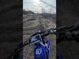 Shredding This Backyard Track