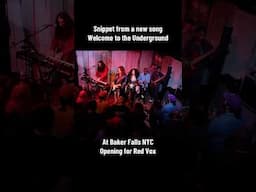 Snippet from a #newsong #welcometotheunderground at Baker Falls in #nyc opening for @RedVox