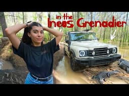 Solo Truck Camping in the Florida Everglades