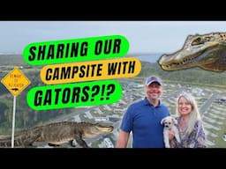 3 Campgrounds and Tons of Fun in Tampa Bay! (RV Life)