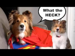 CONFUSION!!! No one is sure what this talking puppy is saying! 🤔🐶😆 e1014