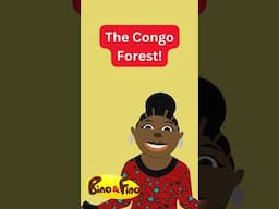 Which forest in Africa is regarded as the 2nd largest rainforest in the world?
