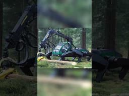 MONSTER Machine DEVOURS Trees Like Toothpicks! 😱 #shorts #viral