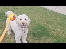 I Still Got It!
