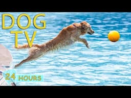 DOG TV: Video Soothe Anxiety & Entertain Dogs When Home Alone - Best Relax Music Collection for Dogs