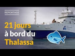 Pêche : compter les poissons pour ne pas épuiser la mer ? | REPORTAGE à bord du Thalassa