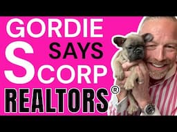 Example Saved $15,300! S-Corp Tax Savings for Realtor®️ Explained by CPA & Gordie the Frenchie