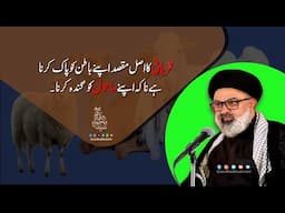 قربانی کا اصل مقصد اپنے باطن کو پاک کرنا ہے ناکہ اپنے ماحول کو گندہ کرنا۔