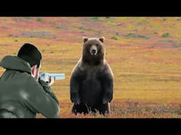 Confronting Danger: Hunting Techniques for the Most Ferocious Animals
