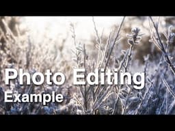 Frosty Morning Photo Editing Example