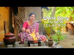 Traditional Cooking in Clay Pot | From Pottery Factory to My Kitchen | Shark Curry in New Clay Pot.