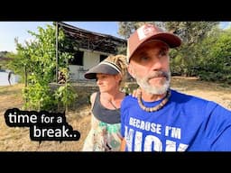 HEATWAVE after HEATWAVE - OFF GRID HOMESTEAD in PORTUGAL - WHATS THE PLAN?