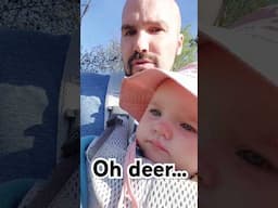 I took my 10 month old daughter tracking WILD DEER! #deer #nature #wildlife