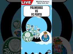 Palmeiras vs Porto - Group A - CLUB WORLD CUP 2025 #cwc #simplemarblerace #palmeiras #fcporto