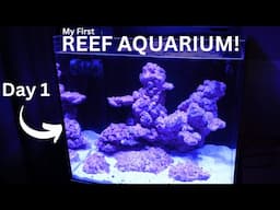 First Ever nano REEF tank! How to build Saltwater Aquarium for beginners? | EP1