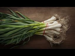 How to Cook with Green Garlic