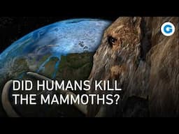 Ice Age Giants: How did Mammoths and Saber Tooth Cats become extinct?