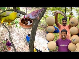 Bengali special Aam Shol recipe | গরমের সেরা আম দিয়ে পাকা শোল মাছ রান্না | Village Cooking Vlog