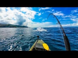Offshore Kayak Fishing: Tuna Exploding on Topwater!