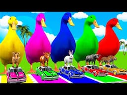 Long Slide Game With Elephant Gorilla Pinki Hippopotamus Tiger 3d Animal Game Funny 3d Animals