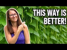 No More Bush Beans For Me! A Better Way To Grow Green Beans