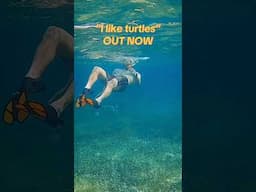 “i like turtles” out now!