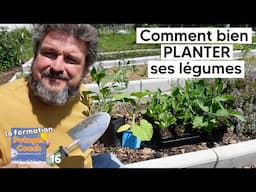 Comment bien PLANTER ses légumes【La formation Potager Coach - chapitre 16】