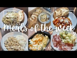 MEALS OF THE WEEK.. Quick & Tasty | Real-Life Dinner Ideas! 🤍