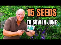 Don’t Miss These June Sowings – Year Round Crops!