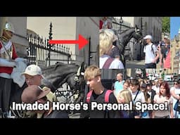 He moves the horse forward! Disrespectful tourists Invaded Horse's Personal Space!