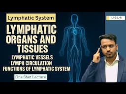 Lymphatic system | Lymphatic organ | Lymphatic vessels | Lymph circulation | Functions of Lymphatic