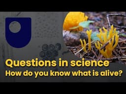 Questions in science - How do you know what is alive?