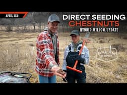 Direct Seeding Chestnuts - Hybrid Willow Update | Dream Farm w/ Bill Winke