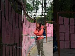 Finding partner in people's park in Chengdu 😅