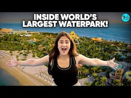 What It Takes To Run the World’s Largest Waterpark | Aquaventure Atlantis | Curly Tales ME