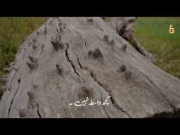 Tazkeer bil Quran | Surah Al-An'am | Verses 159-160 | البیان | Javed Ghamidi | Shahnawaz Zaidi GCIL