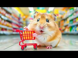 Hamster Sneaks Escape from the Supermarket Maze | Hamster Maze