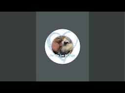 Come Chat with me and talk about updates to the channel!