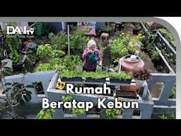 Asiknya Berkebun di Atap Rumah