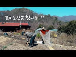텃밭에 첫 파종하고 폭설이 내린 시골집~!!
