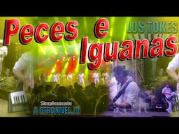 PECES E IGUANAS (Homenaje al Rock Chapin) - LOS TOKES
