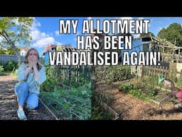 ALLOTMENT VANDALISED AGAIN / ALLOTMENT GARDENING UK