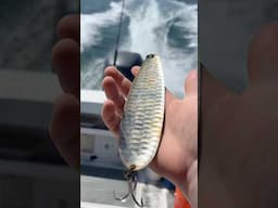 Big Fish LOVE Giant Hunks of Metal #fishing #shorts